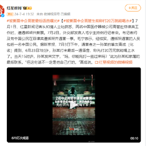 中企高管遭撕票案主犯落网，犯罪真相曝光与正义的凯旋