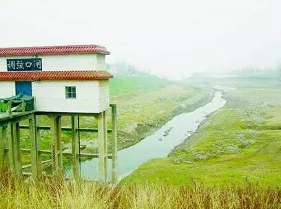 河源市两大林场荣获广东省十大样板称号，生态建设里程碑事件振奋人心