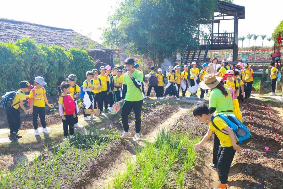 阳江市郊研学基地，乡村研学热门胜地每日吸引数百名学生探访