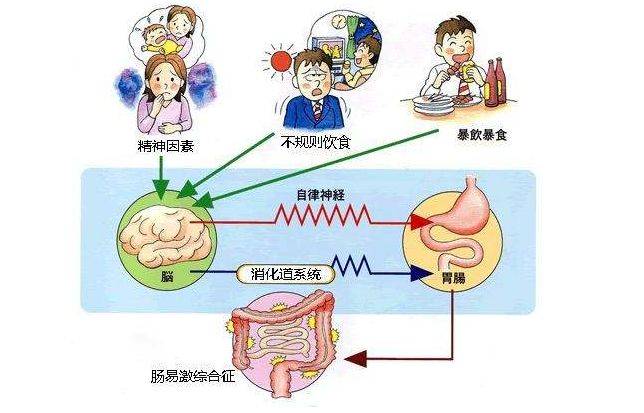 正向情绪助力身体健康提升之道