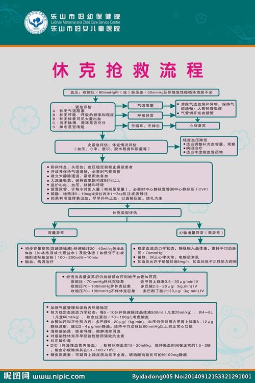 应对家中失血性休克，急救处理指南与应急措施