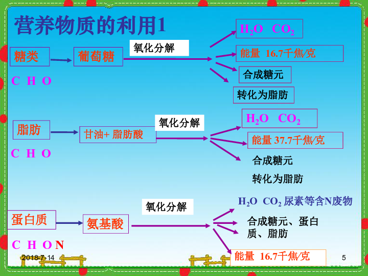 养生食谱，调节激素平衡的艺术之道