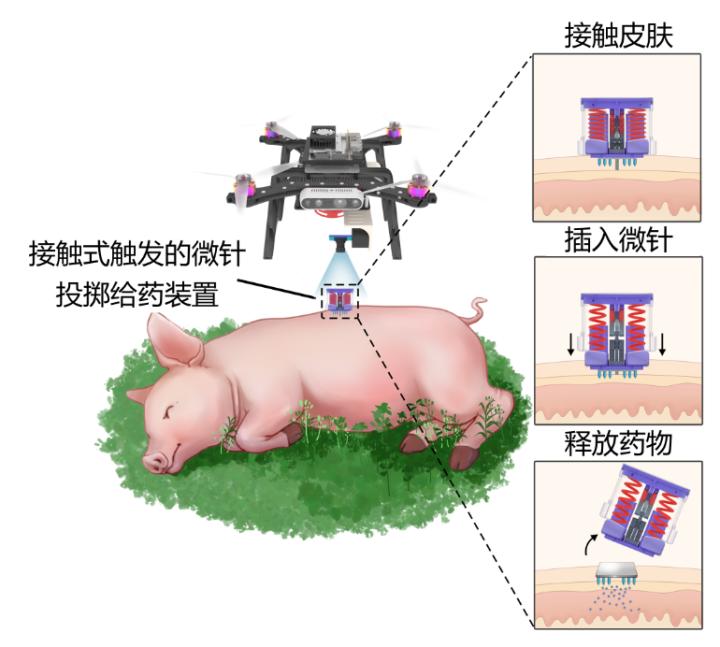 低血糖急救处理家庭操作指南