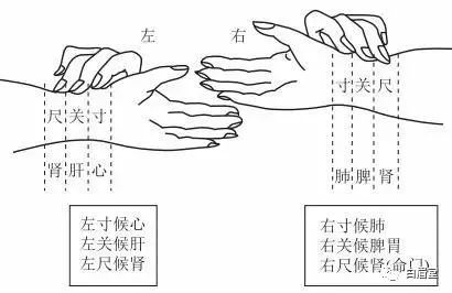 中医养生之脉诊与健康预警的奥秘