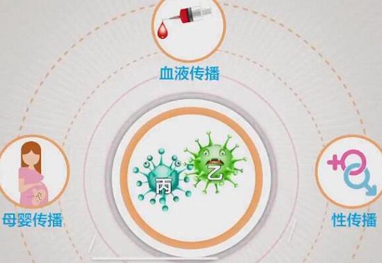 丙肝传播途径与防控重要性解析