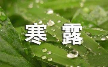 寒露节气之美，中国传统节气视觉盛宴图片集锦