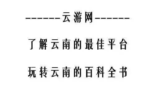 网文作者为何不去改短剧剧本？