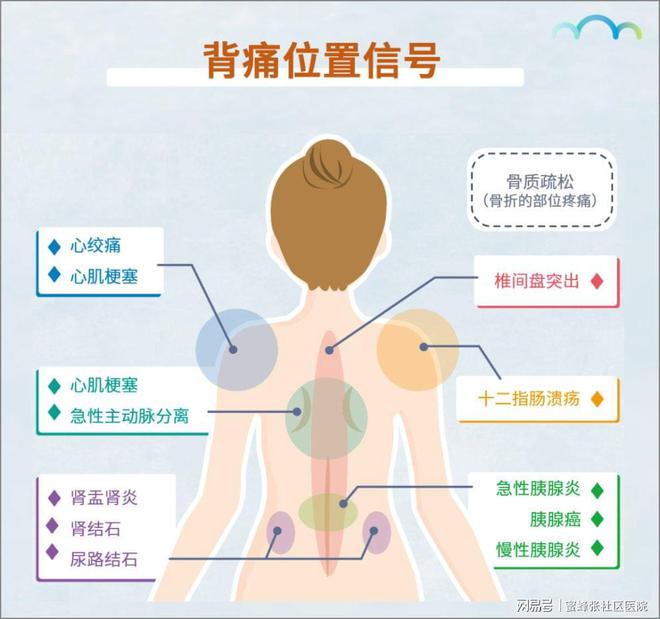 后背疼痛部位对照表，揭示身体疼痛的秘密