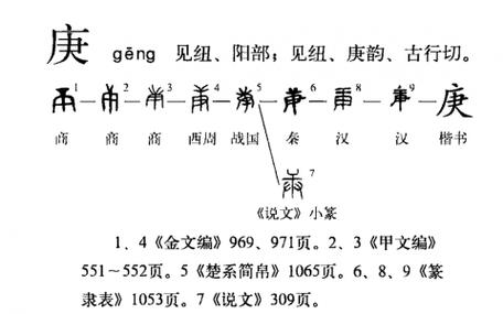 赓的读音及释义解析