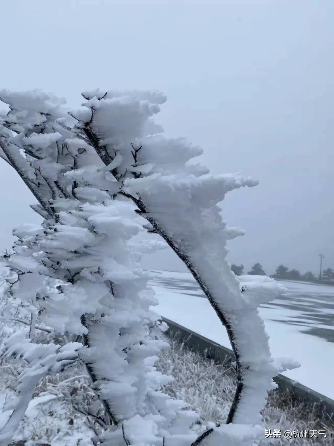 全国多地加入下雪群聊