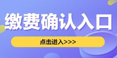 2024年12月12日 第41页