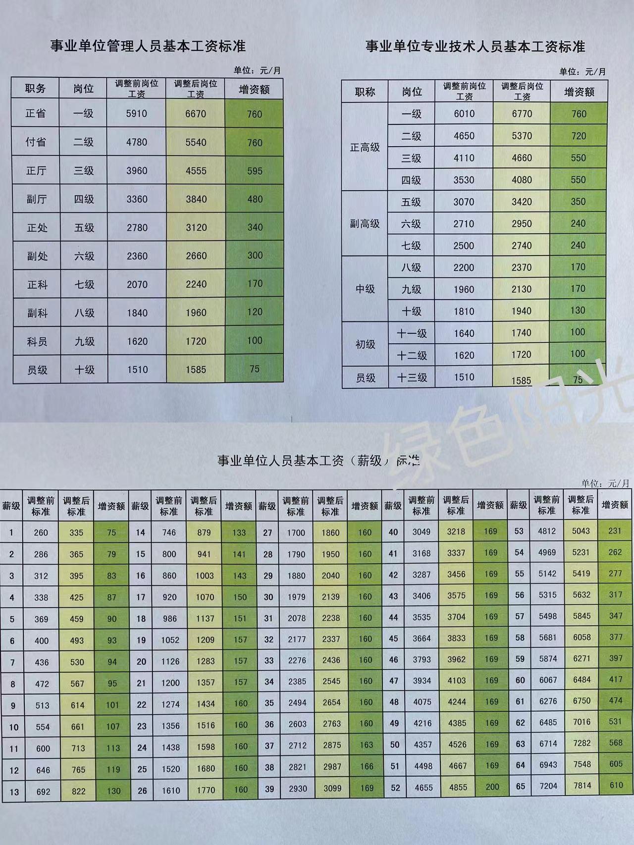 技术类公务员职级级别概览