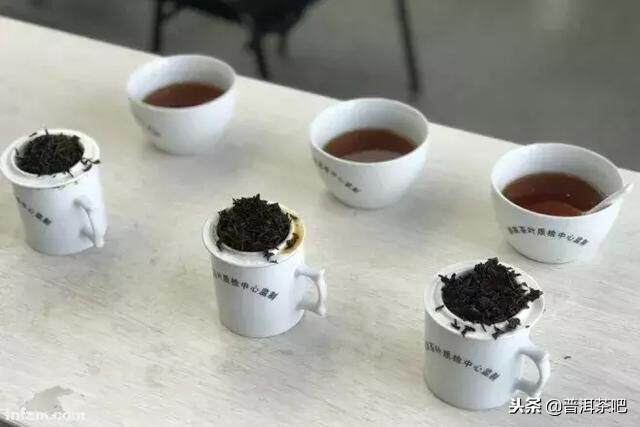 年轻人与茶，从忽视到钟爱