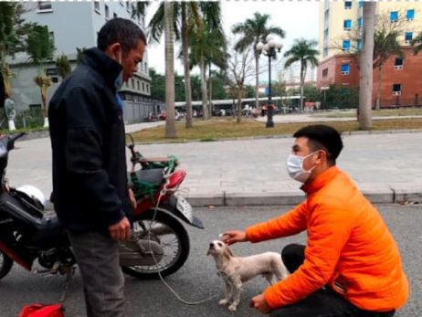 商场小马拴门口供人骑行