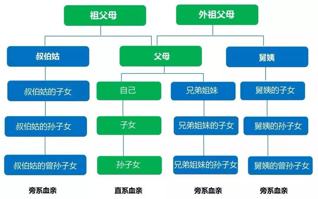 直系亲属，定义、界限与重要性解读