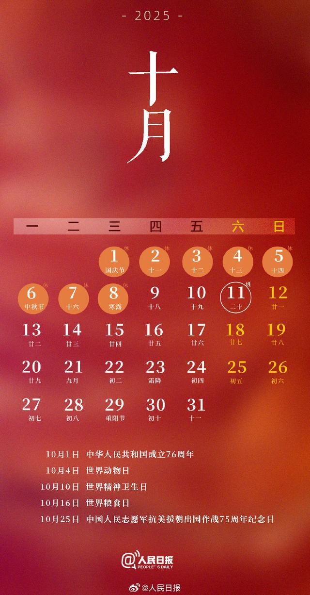 2024年12月16日 第21页