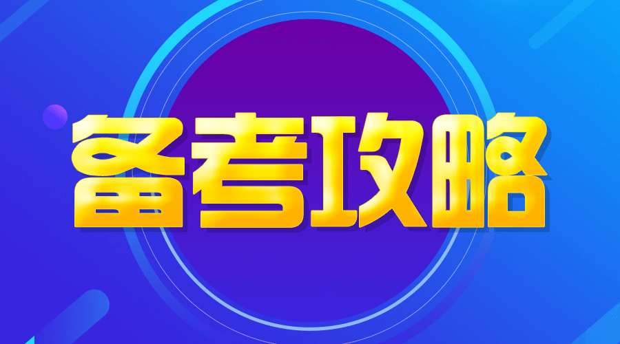 2024年12月19日 第29页