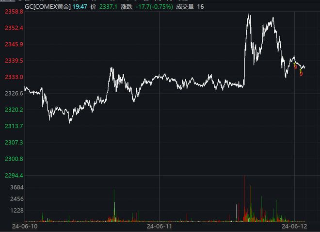 美国股市巨震，金融风暴还是投资机会？