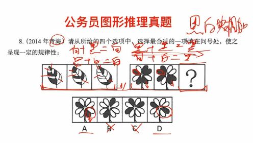 公务员题解答攻略，如何高效备考与应对考试？