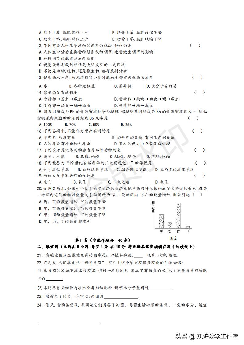 模拟考试题的重要性及其深远影响