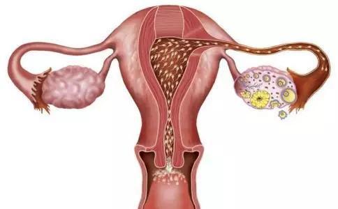 女子生产前4小时获知怀孕消息