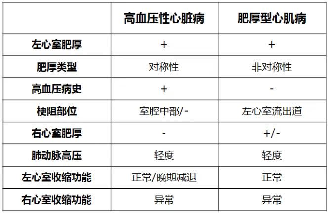 肥厚型心肌病与公务员考试的关联探讨，可行性分析视角