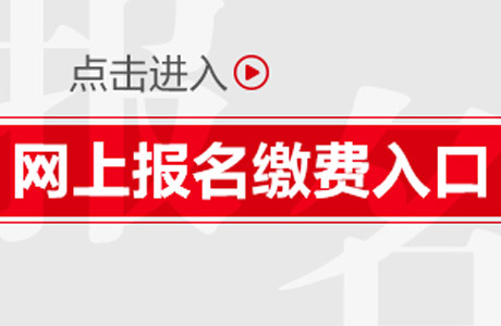 2020公务员缴费入口全面解析及指南，探索与解析缴费流程攻略